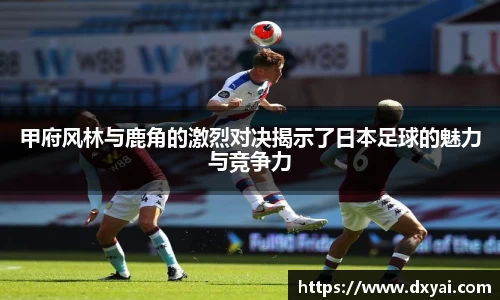 多多28首页