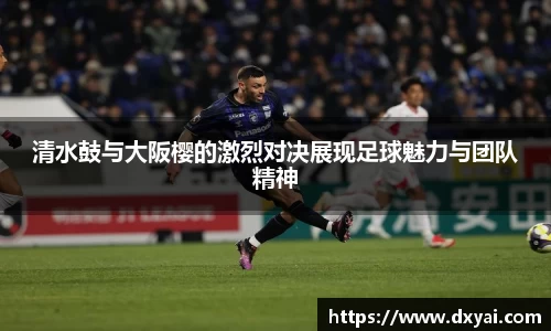 多多28首页